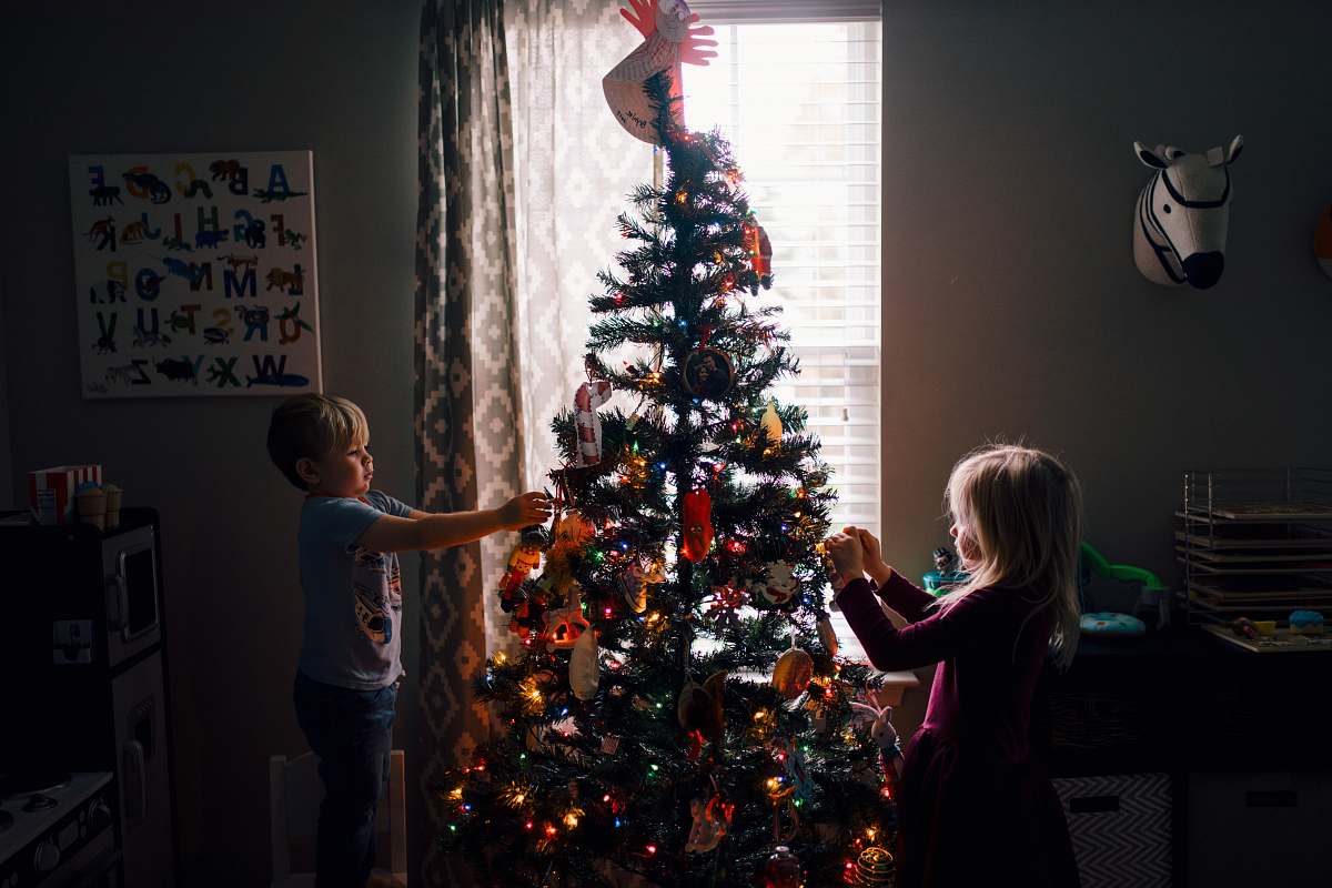 christmas tree girl and boy standing near Christmas tree plant